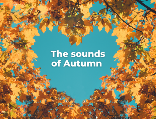  The Sound of Autumn: Why Your Business Needs an Audio Glow-Up This Season